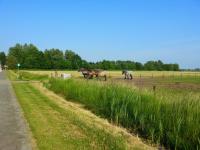 Begrijpen we elkaars bedoeling?